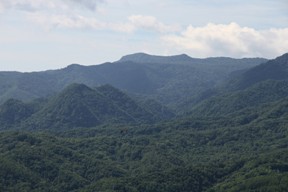 xiRj
