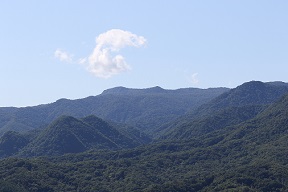 xiRj